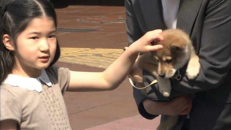 愛犬「由莉」をなでられる愛子さま（2009年）