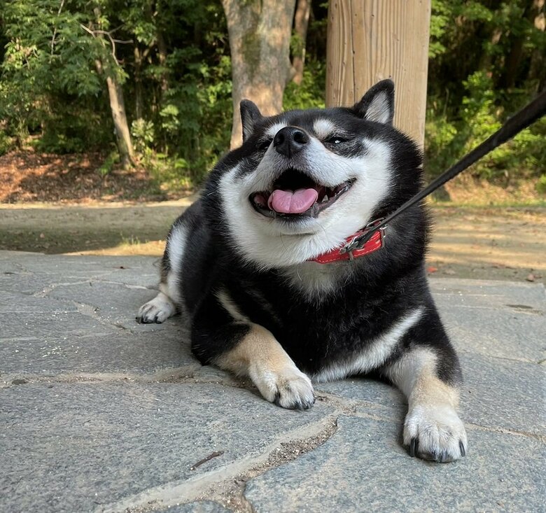 石畳冷たく気持ちいい