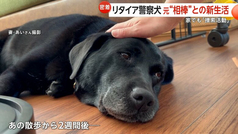 穏やかな表情で今にも眠りに落ちてしまいそうなオト