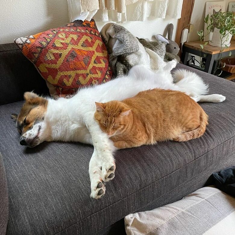 提供：naomiさん