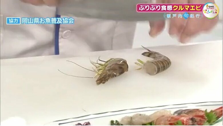 クルマエビを刺身に