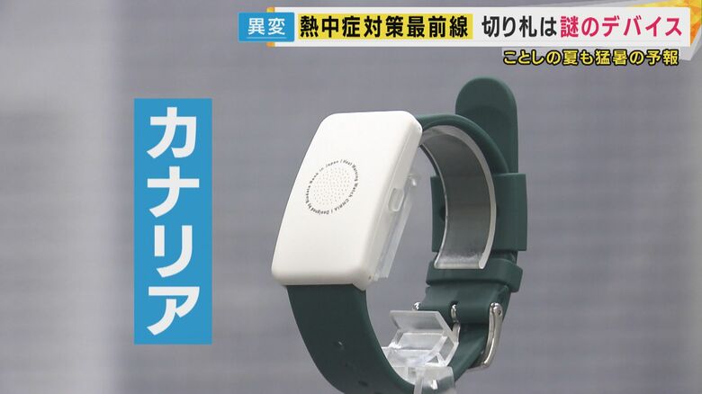 「カナリア」と呼ばれるデバイス