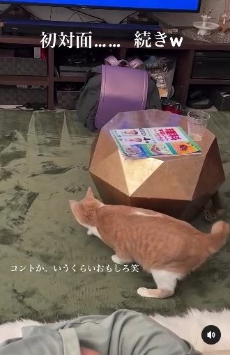 提供：たーにゃ。さん