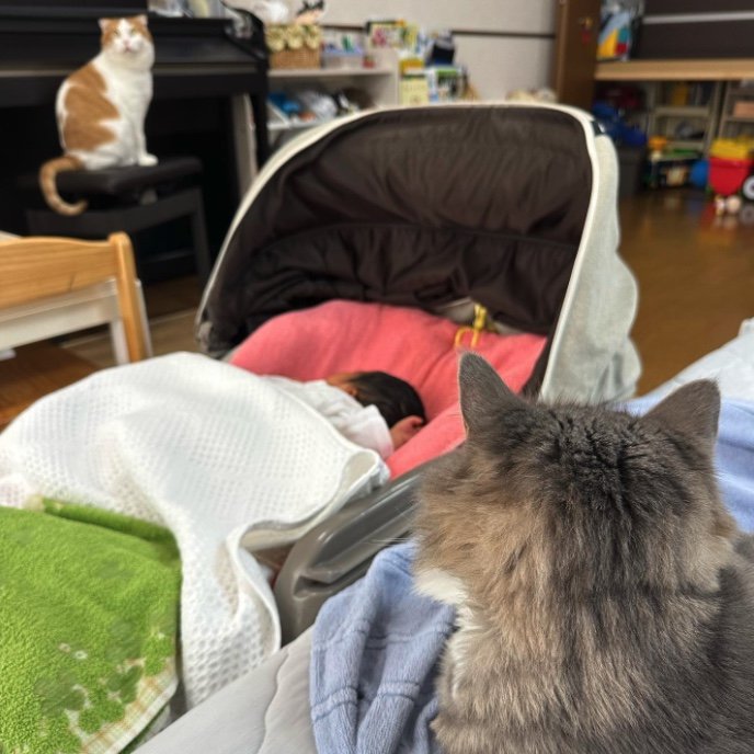 提供：エルモとみみりんさん