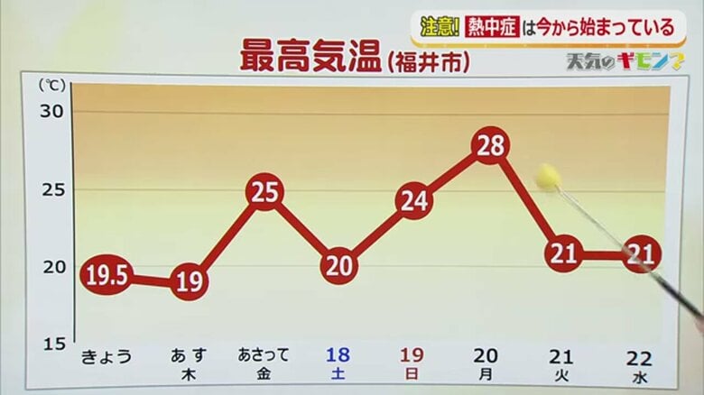 福井市の最高気温の推移