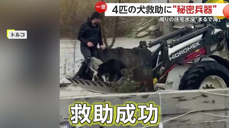 無事に成功した家の裏側にいた犬の救助