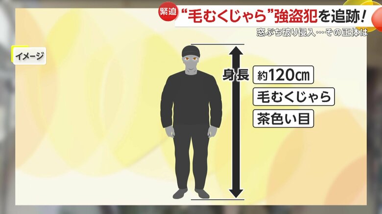 通報によると、背丈が約120cmで、毛むくじゃらだった犯人の特徴（イメージ）