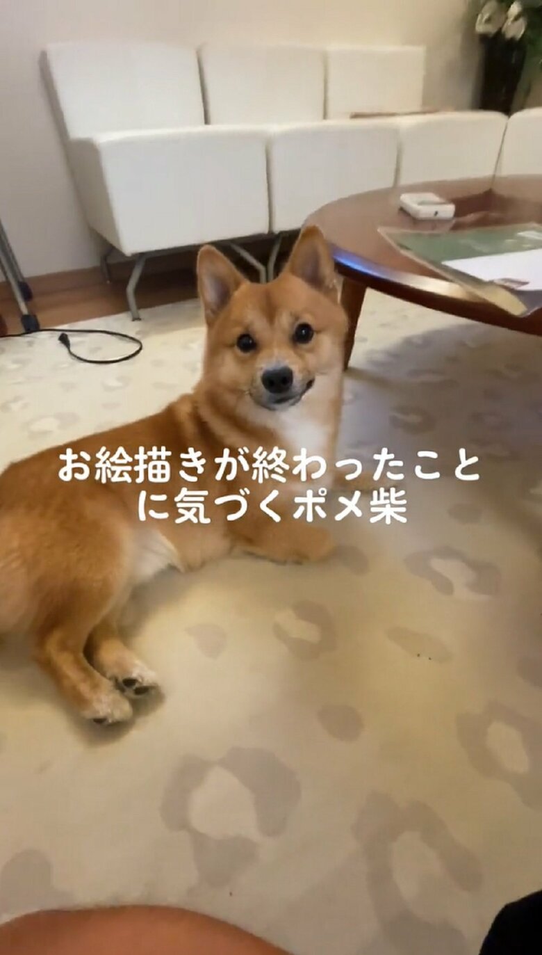 「終わった？」と見つめてくる