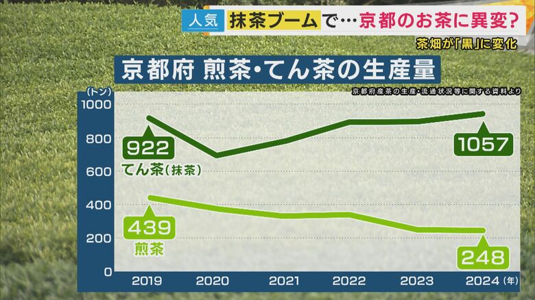 京都府のてん茶・煎茶の生産量