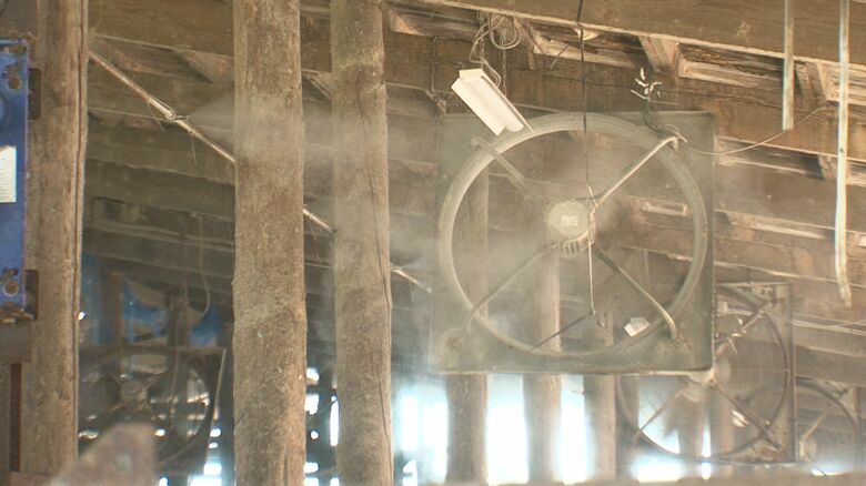 換気扇とミストで暑さ対策