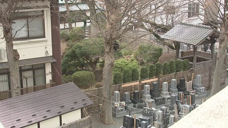 木の上に居座るクマ