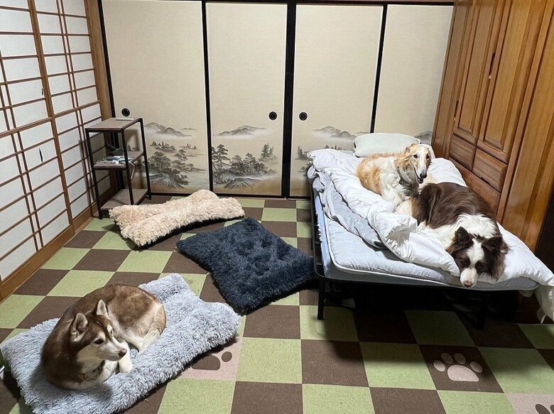 かずさんより先に寝る準備
