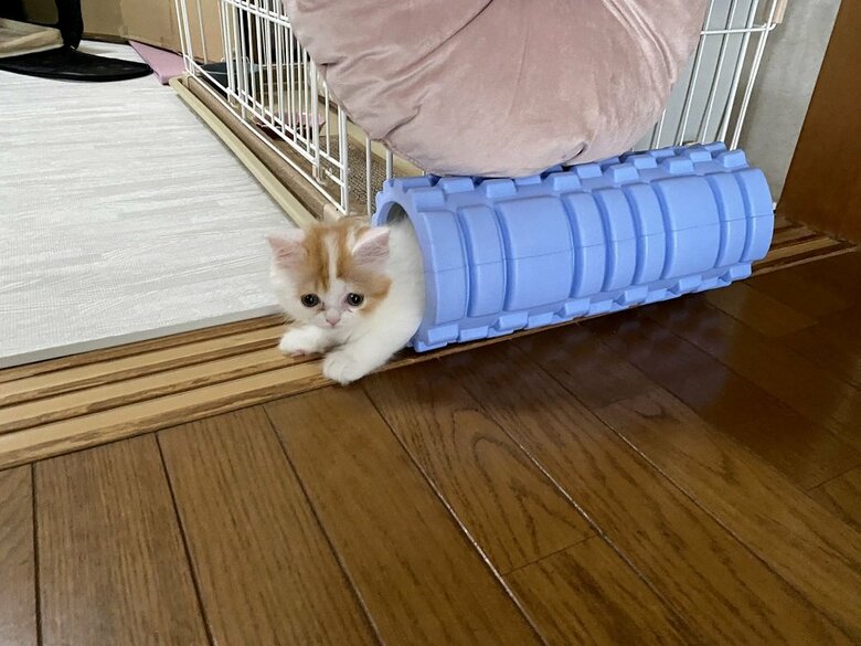 約3カ月前の様子