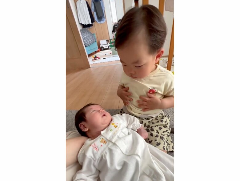 提供：＠zen_pokoさん