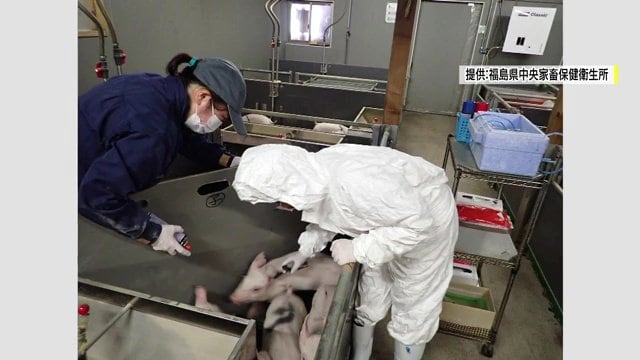 治療以外にも多岐にわたる仕事