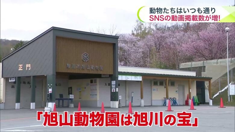 「旭山動物園」は旭川にとって大きな存在