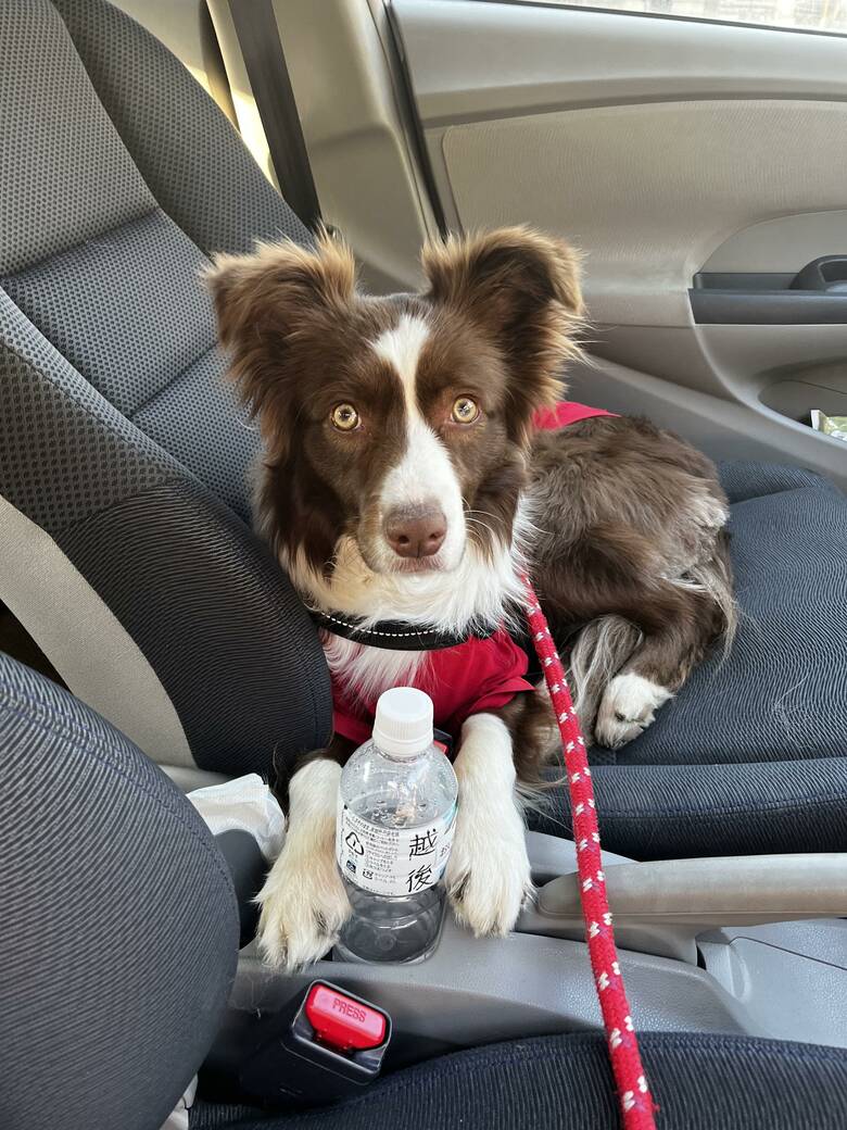 提供：ゆに＆メッシさん