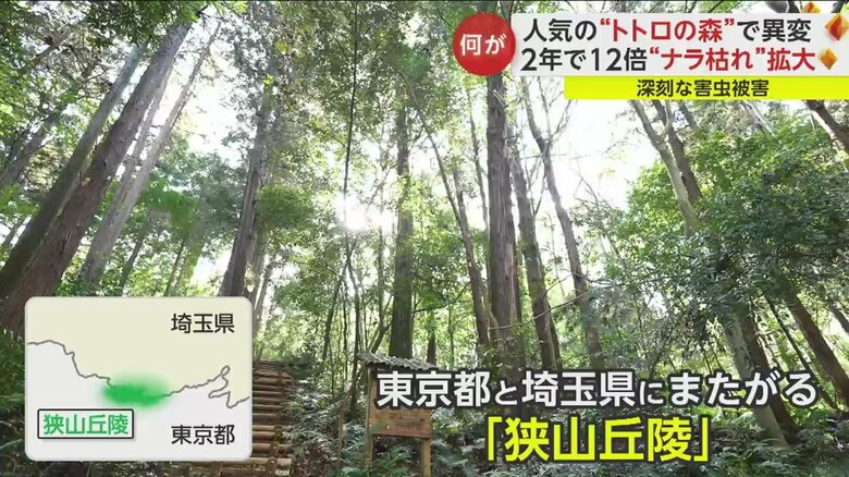 東京ドーム約2.6個分に、希少な生き物が息づいている貴重な場所