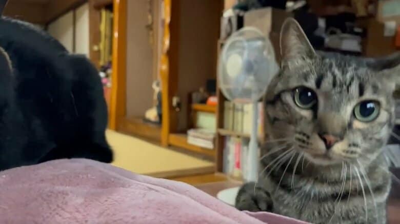 「僕を1人にしないで」と空くんも登場