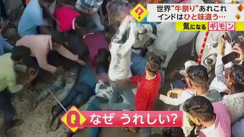 道に寝そべって、牛に踏みつけられている何人もの人たち