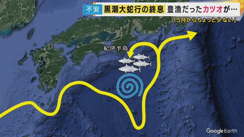 「黒潮大蛇行」の恩恵を受けていた和歌山のカツオ