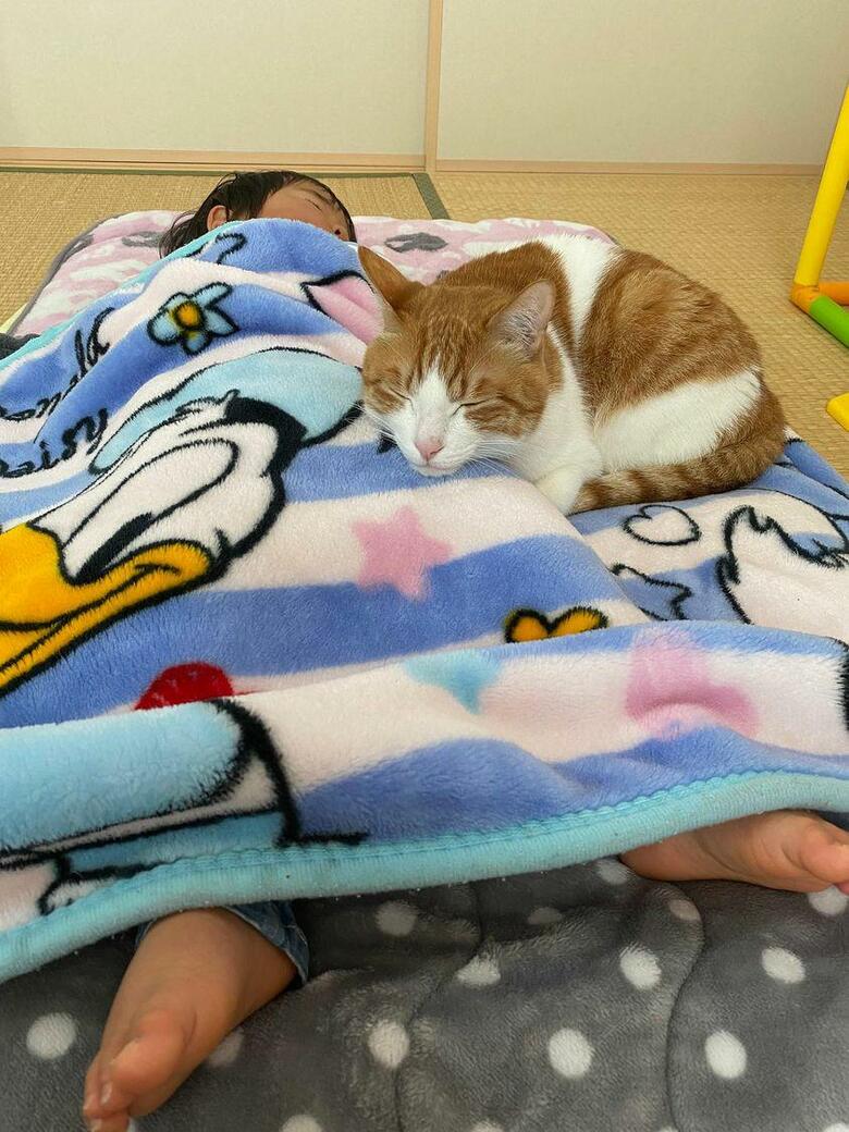 提供：Hassakuさん