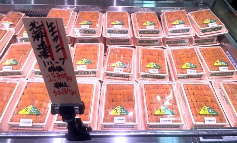 倶知安町のスーパーで販売されている1パック3万円を超える生ウニ