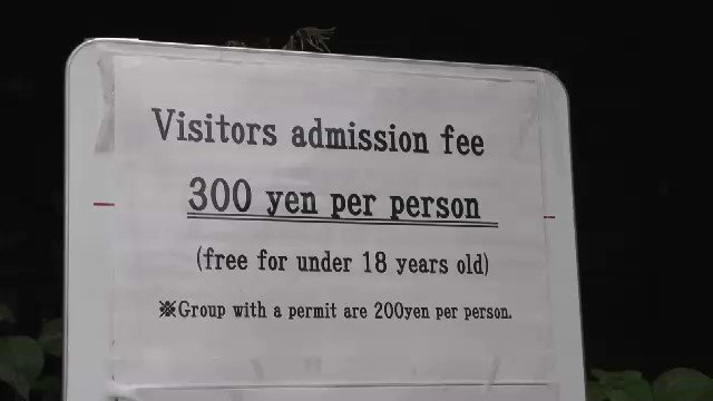 外国人観光客から拝観料を徴収