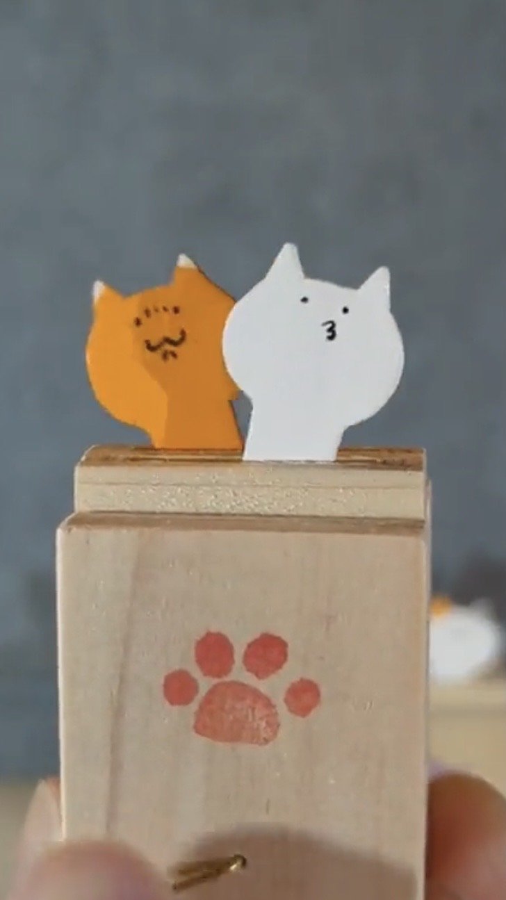 Choo Choo TRAINのように動く猫