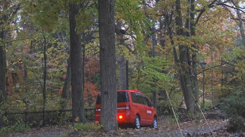 クマが出没した周辺