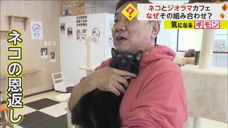 ネコがジオラマで遊ぶ姿をSNSに投稿したところ客が増えたという