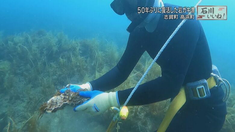 平野さんが採ったのは？