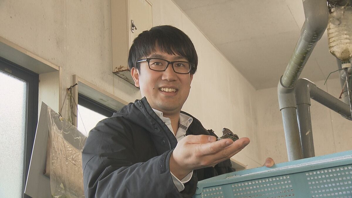 img_97b384310a8d8307c7d8c314ed