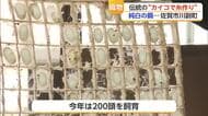 「手織りに敵うものはない」佐賀市で今では珍しいカイコ飼育と生糸作り【佐賀県】