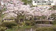 「近いところにこんないいところが」　兼六園のサクラ満開、県外からも花見客が足を運ぶ理由