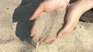 “茨城のゴールドコースト”で消える砂浜　全国的に減る海水浴場、夏の客足減少に不安　“豪州の砂”取り寄せるビーチも