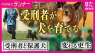 「自分と重なる部分がある」　受刑者による「保護犬育成プログラム」で再犯防止に繋げる狙い　一筋縄ではいかない更生も…互いに変化
