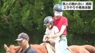 馬と触れ合えるイベント開催　エサやりや乗馬体験「馬と一緒に過ごして楽しい」静岡・南伊豆町