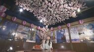 「インドア花見」の需要取り込め…居酒屋が宴会部屋を「桜咲く少人数個室」に ドローン映像を配信の会社も