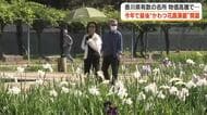 咲き競う１万本以上の花は今季で見納め…３０年以上親しまれた「かわつ花菖蒲園」一般公開【香川・坂出市】