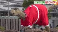 恐竜サンタがメリークリスマス！　福井駅西口の恐竜が七変化！？　設置から10年、福井のPRに大きく貢献　駅前は人気スポットに