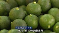 宮崎県日向市 特産の「へべす」初出荷 みやざきブランド