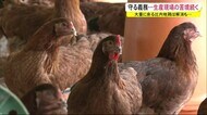 比内地鶏守る義務…生産現場の苦境続く 秋田・大館市