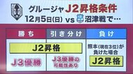 グルージャ盛岡 ホーム最終戦勝利 J2昇格かけ次節最終戦へ<岩手県>