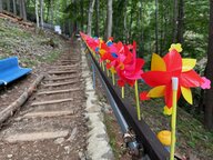 「御巣鷹の尾根」慰霊の登山道は今　日航機墜落事故から40年