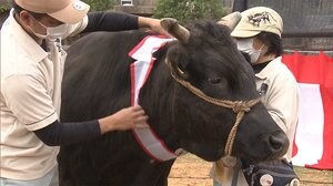 異例のお正月 様変わりした各地の“表情”
