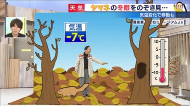 超貴重!大分で「森の妖精」ニホンヤマネが見つかる…敵から身を守る“スゴ過ぎ冬眠”の秘密