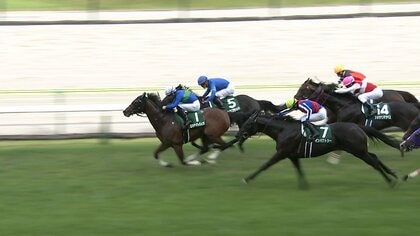 【ラジオNIKKEI賞＆ 函館記念・GⅢ】ラジオNIKKEI賞はエキサイトバイオが制す！函館記念はヴェローチェエラが37年ぶりレコード更新！