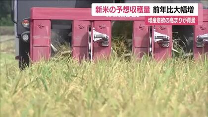 福島県の新米の予想収穫量　前年比大幅増へ　米価高騰で増産意欲高まる　作付面積が大幅に増加　