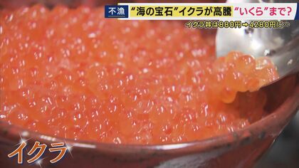 「イクラ丼のさらなる値上げも考えざるを得ない」イクラ丼は880円→4280円に　記録的なサケ不漁でイクラの価格が高騰　エサとなるプランクトンの減少が要因か
